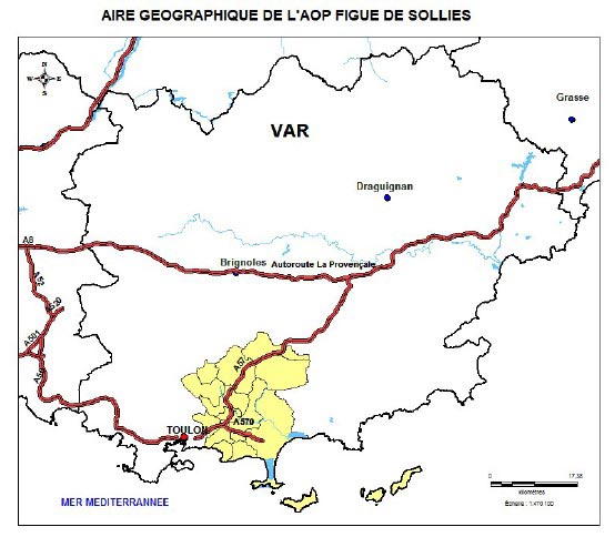 Carte de l’aire géographique d’appellation de la Figue de Solliès dans le Var